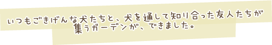 いつもごきげんな犬たちと、犬を通して知り合った友人たちが集うガーデンが、できました。