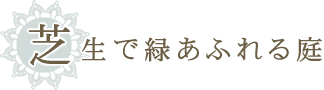 芝生で緑あふれる庭